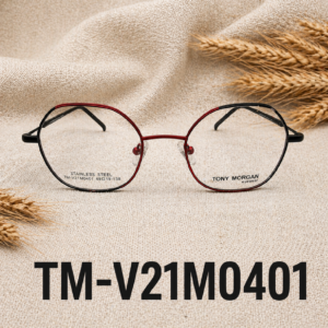 TM-V21M0401
